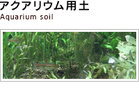 アクアリウム用土