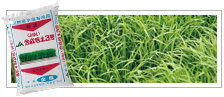 画像：水稲育苗用培土